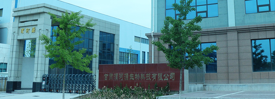 公司新闻